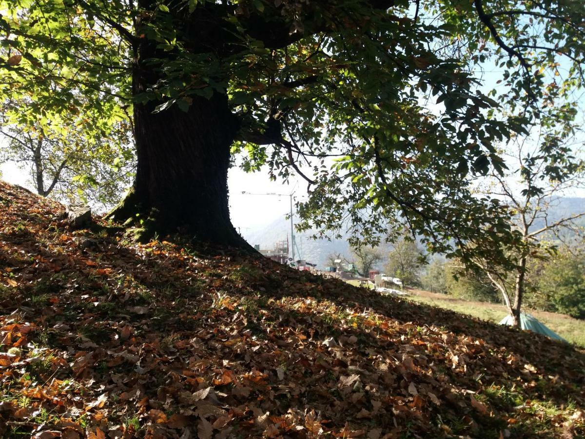 Agriturismo Piane Ono Degno ภายนอก รูปภาพ